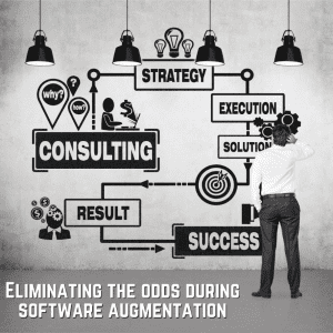software consulting