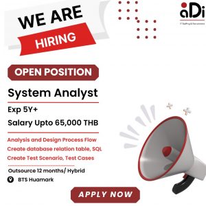 system analyst