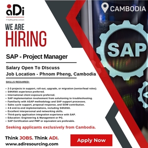 SAP Project manager