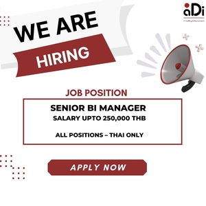 Senior BI Manager